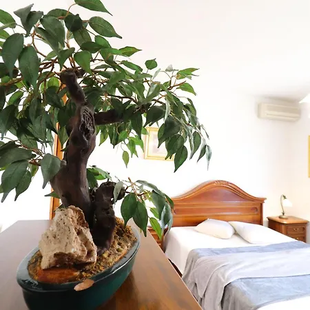 Semesterbostad Casa Calipso A *